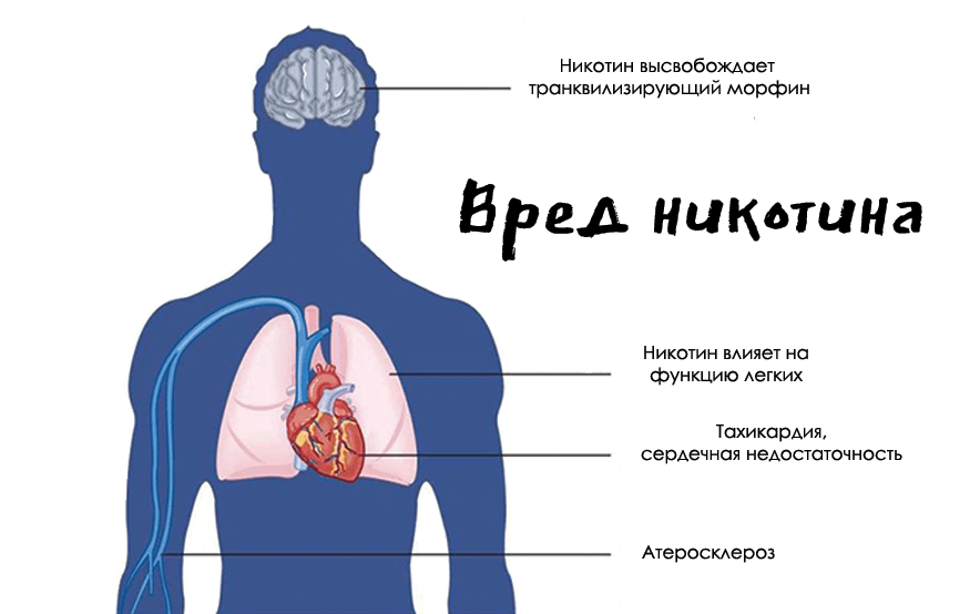 вредит ли одноразка здоровью