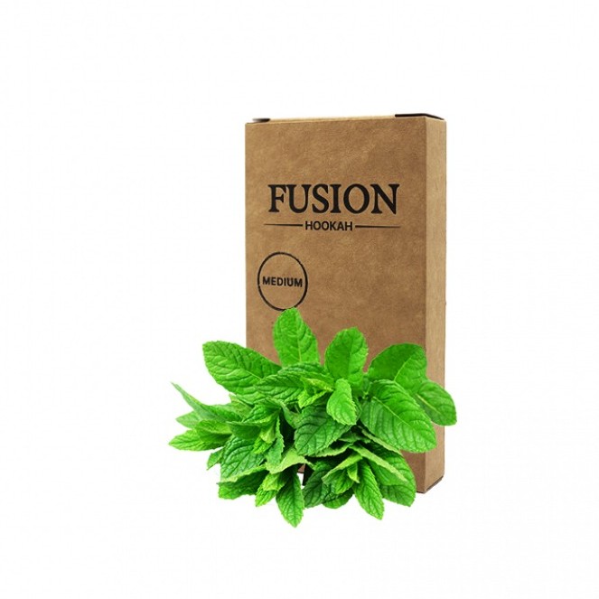 Табак Fusion Medium Mint (Мята, 100 г) Табак Fusion Medium Mint (Мята, 100 г)