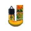 Жидкость In Bottle Salt Rockmelon (Рокмелон, 30 мг, 30 мл)