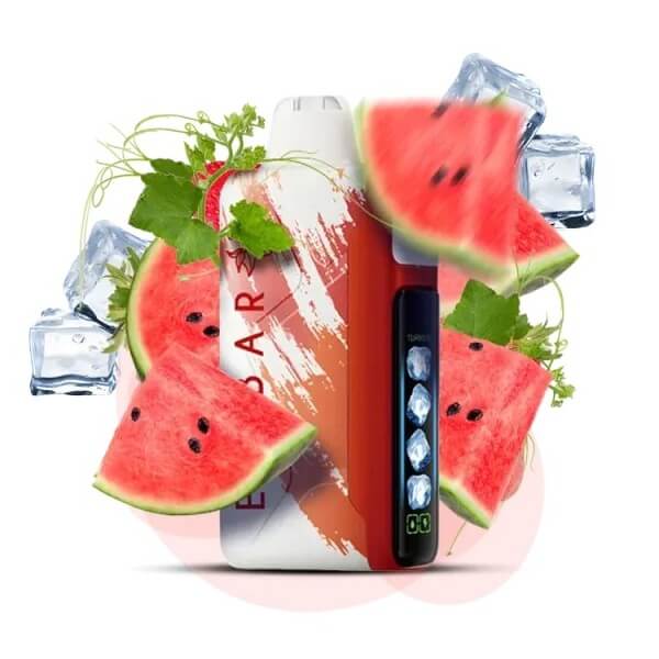Одноразовый POD Elf Bar Ice King 30000 Watermelon Ice (Арбуз, Лед) Одноразовый POD Elf Bar Ice King 30000 Watermelon Ice (Арбуз, Лед)